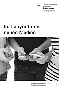 Titelbild der Broschüre: Pflegeelternrundbrief I/2013<br>Im Labyrinth der neuen Medien